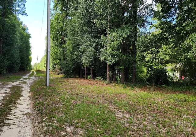9th image of 0 Martin Way, Waynesboro, GA 30830 | MLS# SA362494