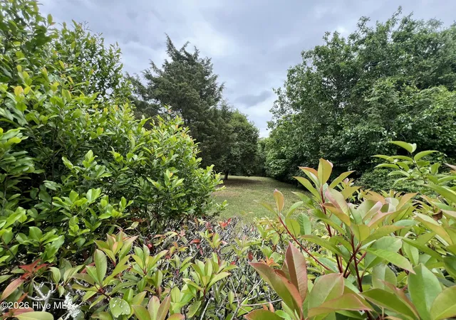 4th image of 1223 S 8Th St, Wilmington, NC 28401 | MLS# 100570419