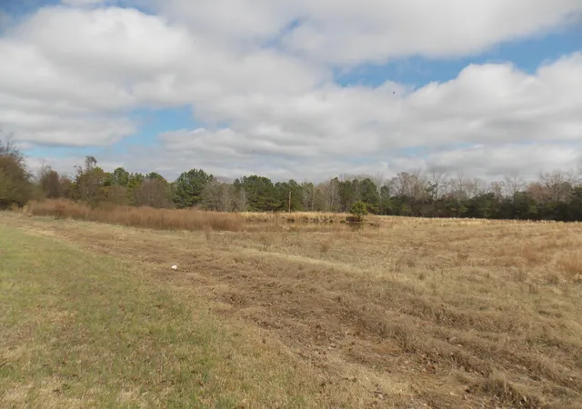 2nd image of 4232 Double Branches Rd, Lincolnton, GA 30817 | MLS# 98254678