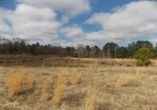 5th image of 4232 Double Branches Rd, Lincolnton, GA 30817 | MLS# 98254678