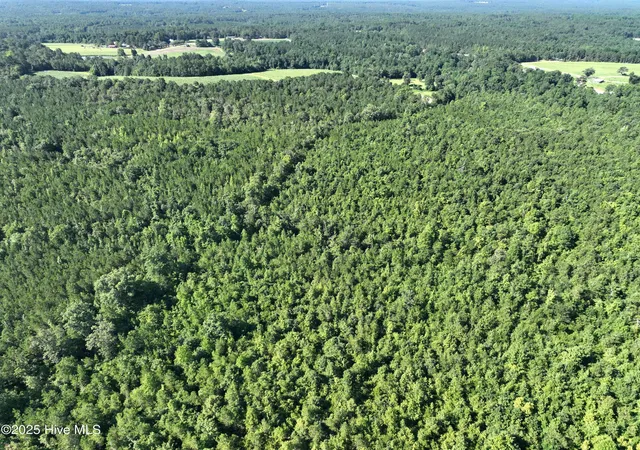 Homes for sale in West End, NC | Lot B Carthage Rd, West End, NC 27376 | MLS# 100520905