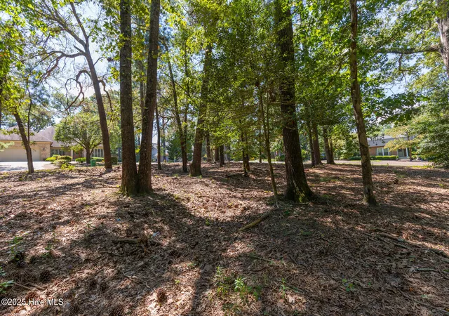 Homes for sale in Pinehurst, NC | Tbd Turtle Point Rd, Pinehurst, NC 28374 | MLS# 100527027