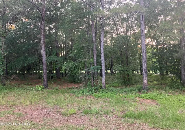 Photo 1 of Land for sale at 112 Riverstone Run Dr, Wallace, NC 28466 | MLS# 100581626 | Listing updated on 2026-08-18