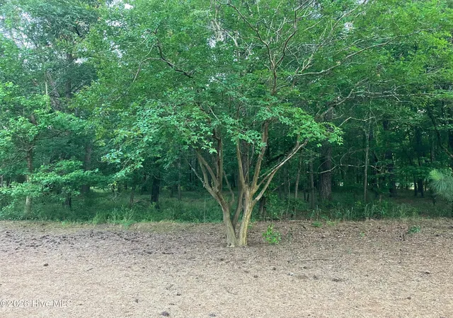 Photo 3 of Land for sale at 112 Riverstone Run Dr, Wallace, NC 28466 | MLS# 100581626 | Listing updated on 2026-08-18