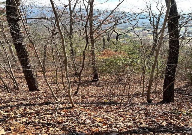 Photo 1 of Land for sale at Lot 56c Indian Trl, Hayesville, NC 28904 | MLS# 98543668 | Listing updated on 2026-07-21