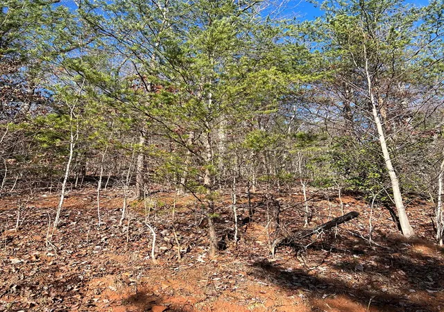 Photo 3 of Land for sale at Lot 56C Indian Trl, Hayesville, NC 28904 | MLS# 98543668 | Listing updated on 2026-07-21