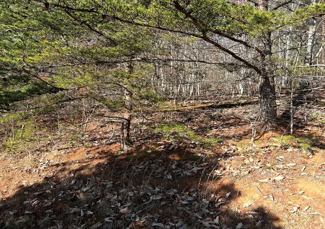 Photo 4 of Land for sale at Lot 56C Indian Trl, Hayesville, NC 28904 | MLS# 98543668 | Listing updated on 2026-07-21
