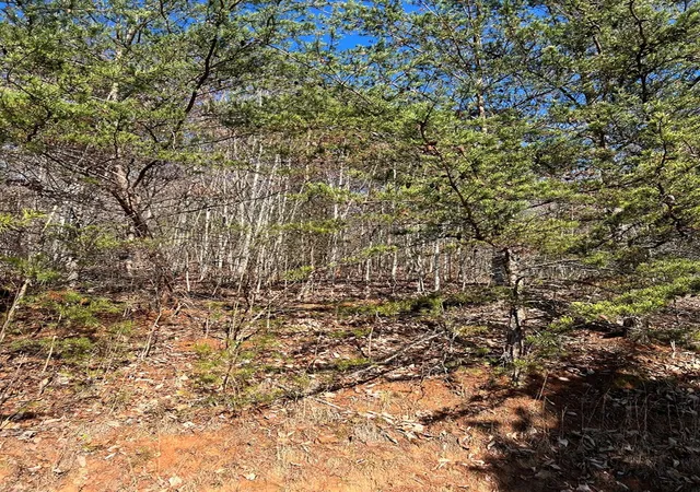 Photo 5 of Land for sale at Lot 56C Indian Trl, Hayesville, NC 28904 | MLS# 98543668 | Listing updated on 2026-07-21