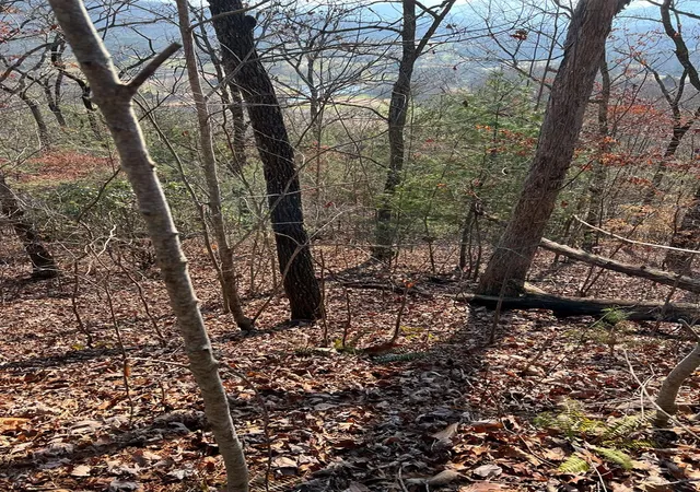 Photo 9 of Land for sale at Lot 56c Indian Trl, Hayesville, NC 28904 | MLS# 98543668 | Listing updated on 2026-07-21