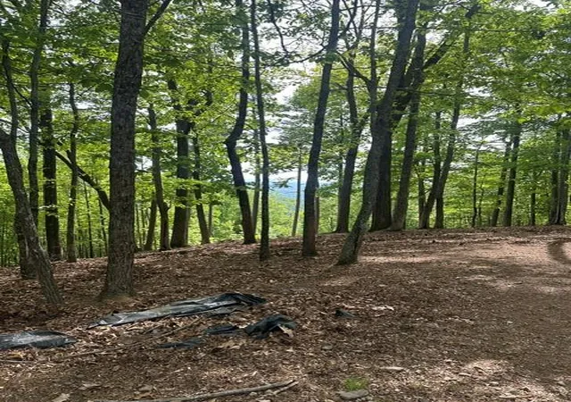 Photo 1 of Land for sale at Lot 4 Hampton Knob, Murphy, NC 28906 | MLS# 98544110 | Listing updated on 2026-07-21