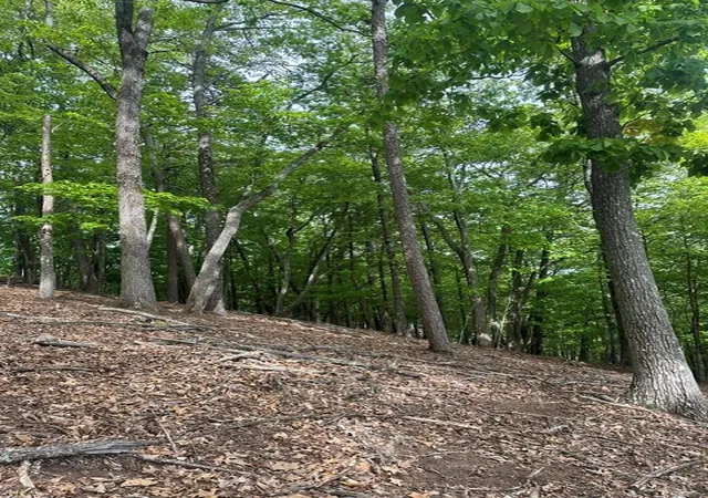 Photo 2 of Land for sale at Lot 4 Hampton Knob, Murphy, NC 28906 | MLS# 98544110 | Listing updated on 2026-07-21