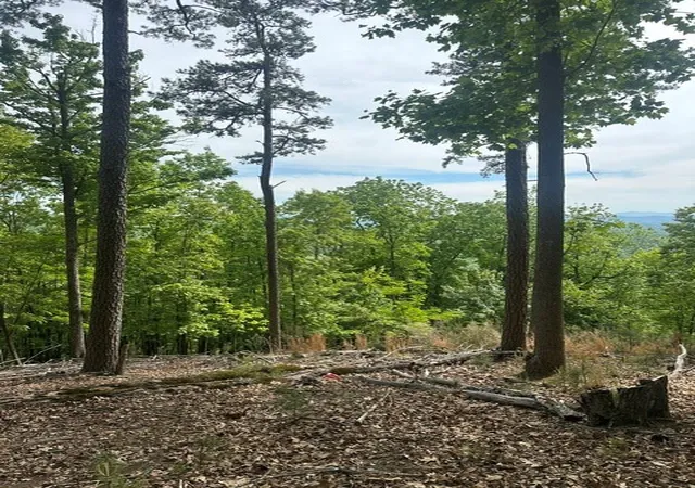 Photo 3 of Land for sale at Lot 4 Hampton Knob, Murphy, NC 28906 | MLS# 98544110 | Listing updated on 2026-07-21