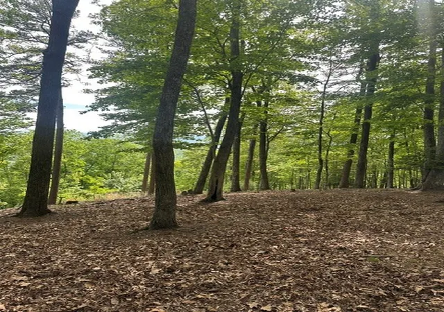 Photo 3 of Land for sale at Lot 4 Hampton Knob, Murphy, NC 28906 | MLS# 98544110 | Listing updated on 2026-07-21