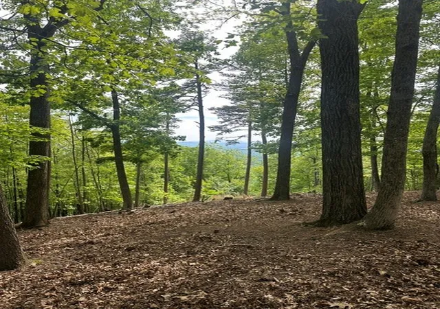 Photo 4 of Land for sale at Lot 4 Hampton Knob, Murphy, NC 28906 | MLS# 98544110 | Listing updated on 2026-07-21