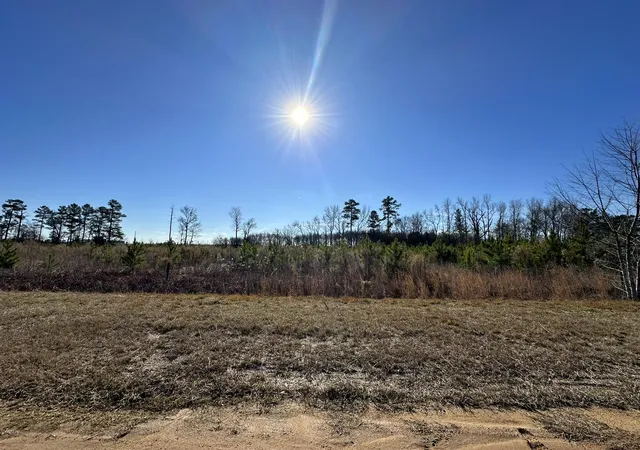 Homes for sale in Louisville, GA | Lot 6 Triangle Rd, Louisville, GA 30434 | MLS# 98212107