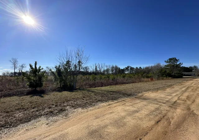 Homes for sale in Louisville, GA | Lot 6 Triangle Rd, Louisville, GA 30434 | MLS# 98212107