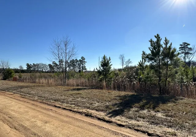 Homes for sale in Louisville, GA | Lot 6 Triangle Rd, Louisville, GA 30434 | MLS# 98212107