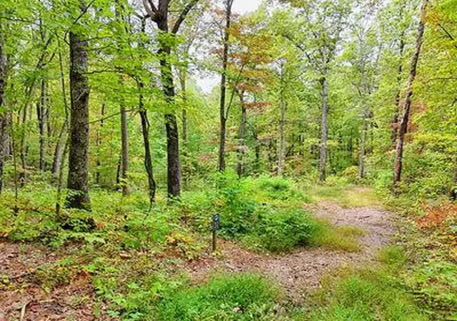 Homes for sale in Hayesville, NC | Lot 30 Skyview Dr, Hayesville, NC 28904 | MLS# 98525341