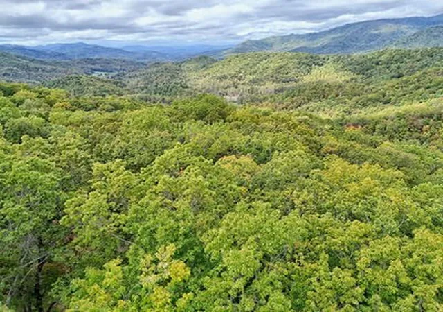 Homes for sale in Hayesville, NC | Lot 30 Skyview Dr, Hayesville, NC 28904 | MLS# 98525341