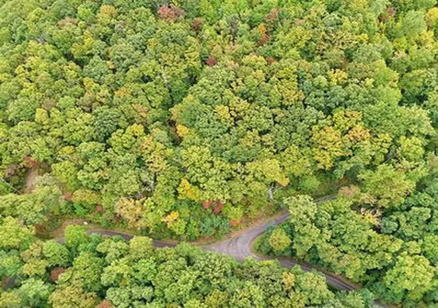 Homes for sale in Hayesville, NC | Lot 30 Skyview Dr, Hayesville, NC 28904 | MLS# 98525341