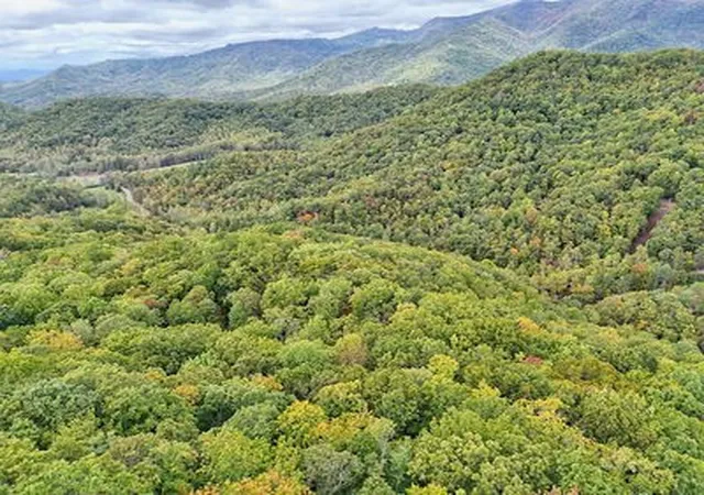 Homes for sale in Hayesville, NC | Lot 30 Skyview Dr, Hayesville, NC 28904 | MLS# 98525341