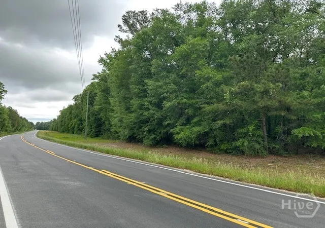 Homes for sale in Guyton, GA | 0 Old Louisville Rd, Guyton, GA 31312 | MLS# SA355088
