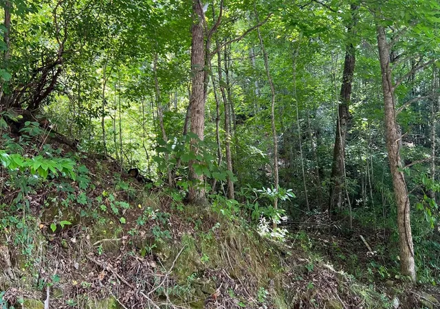 Photo 3 of Land for sale at Lot 77 Fires Creek Cvs, Hayesville, NC 28904 | MLS# 98524823 | Listing updated on 2026-07-17