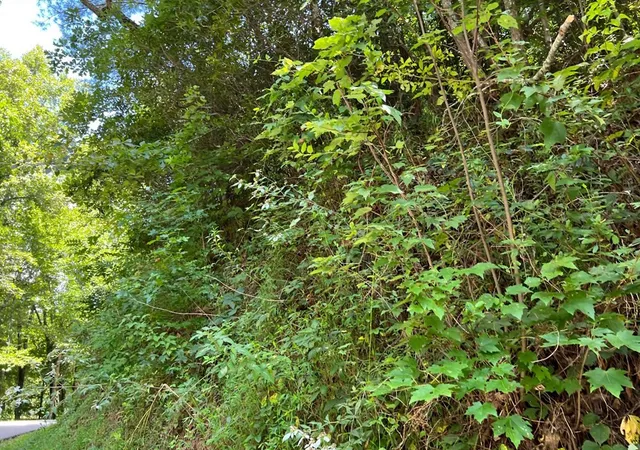 Photo 3 of Land for sale at Lot 77 Fires Creek Cvs, Hayesville, NC 28904 | MLS# 98524823 | Listing updated on 2026-07-17
