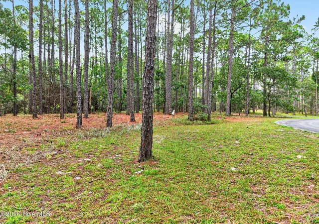 Photo 3 of Land for sale at 539 Verona Pointe SE, Bolivia, NC 28422 | MLS# 100592451 | Listing updated on 2026-08-18