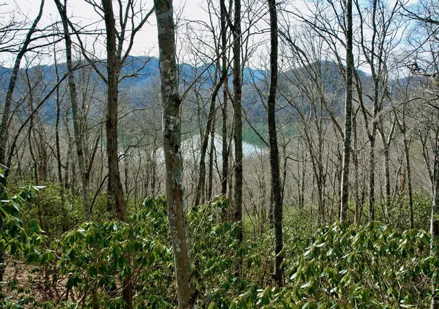 Homes for sale in Nantahala, NC | Tbd Zimmerman / Holly Ridge Rd, Nantahala, NC 28781 | MLS# 98522403
