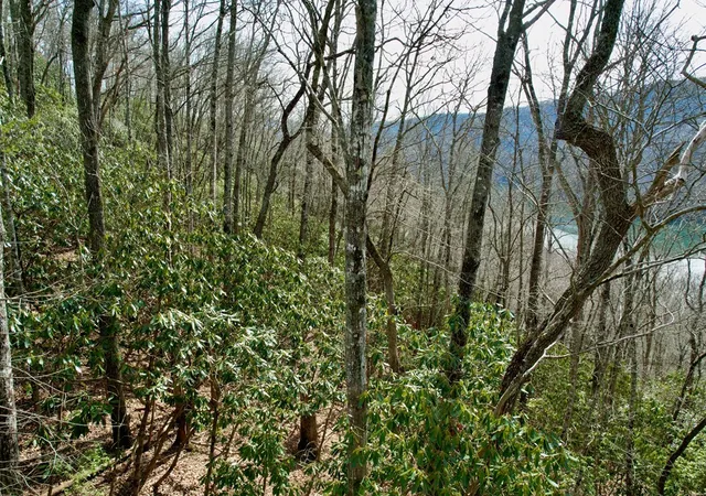 Homes for sale in Nantahala, NC | Tbd Zimmerman / Holly Ridge Rd, Nantahala, NC 28781 | MLS# 98522403