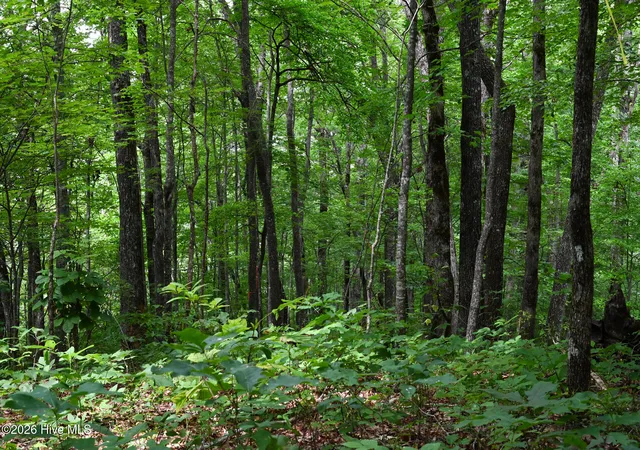 Photo 3 of Land for sale at 0 Lories Mountain Dr Dr, Hayesville, NC 28904 | MLS# 100599786 | Listing updated on 2026-08-28