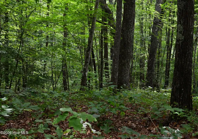 Photo 4 of Land for sale at 0 Lories Mountain Dr Dr, Hayesville, NC 28904 | MLS# 100599786 | Listing updated on 2026-08-28