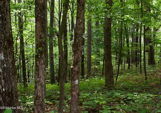 Photo 5 of Land for sale at 0 Lories Mountain Dr Dr, Hayesville, NC 28904 | MLS# 100599786 | Listing updated on 2026-08-28