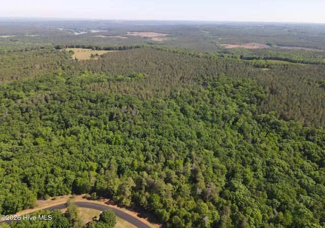 Homes for sale in Rockingham, NC | Tbd Lakeview Pass, Rockingham, NC 28379 | MLS# 100542335