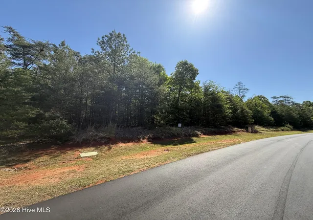 Homes for sale in Rockingham, NC | Tbd Lakeview Pass, Rockingham, NC 28379 | MLS# 100542335