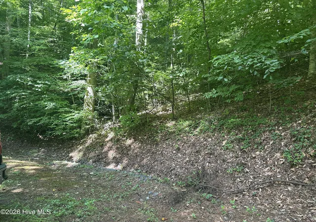 Photo 10 of Land for sale at 6 Bartram Trl Rd, Franklin, NC 28734 | MLS# 100584064 | Listing updated on 2026-06-25