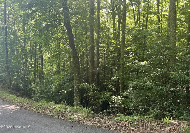Photo 2 of Land for sale at 6 Bartram Trl Rd, Franklin, NC 28734 | MLS# 100584064 | Listing updated on 2026-06-25