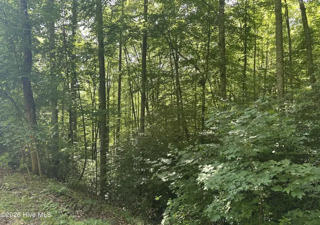 Photo 3 of Land for sale at 6 Bartram Trl Rd, Franklin, NC 28734 | MLS# 100584064 | Listing updated on 2026-06-25