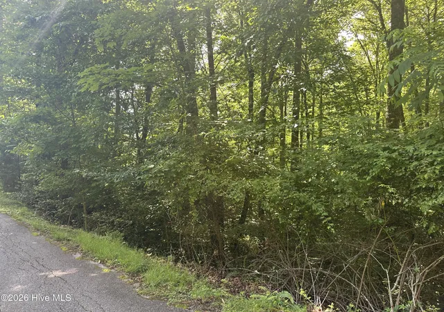 Photo 4 of Land for sale at 6 Bartram Trl Rd, Franklin, NC 28734 | MLS# 100584064 | Listing updated on 2026-06-25