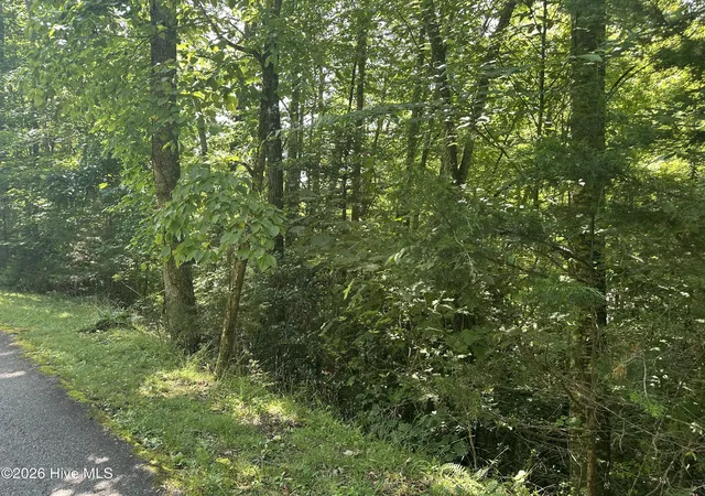 Photo 5 of Land for sale at 6 Bartram Trl Rd, Franklin, NC 28734 | MLS# 100584064 | Listing updated on 2026-06-25