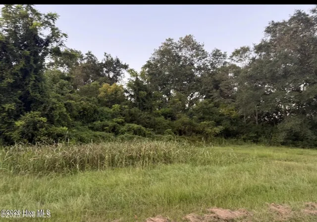 4th image of 1337 Off Sr 1337 On, Pollocksville, NC 28573 | MLS# 100581660