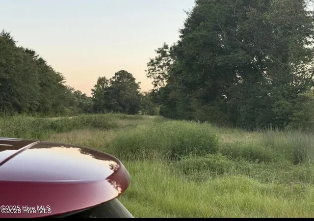 5th image of 1337 Off Sr 1337 On, Pollocksville, NC 28573 | MLS# 100581660