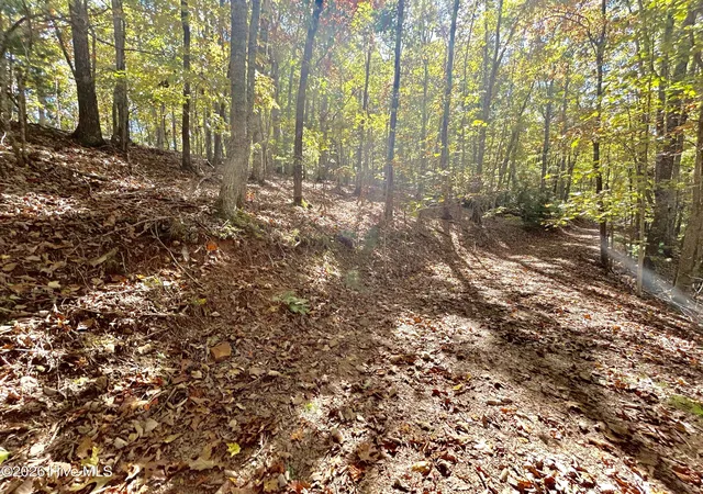 Homes for sale in Brasstown, NC | Lot 1,2 Royal Oaks Trl, Brasstown, NC 28902 | MLS# 100579246