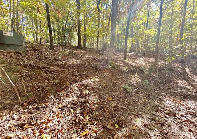 Homes for sale in Brasstown, NC | Lot 1,2 Royal Oaks Trl, Brasstown, NC 28902 | MLS# 100579246