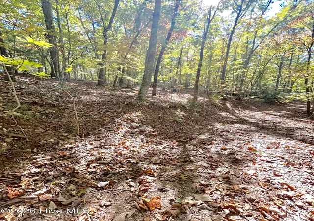 Homes for sale in Brasstown, NC | Lot 1,2 Royal Oaks Trl, Brasstown, NC 28902 | MLS# 100579246