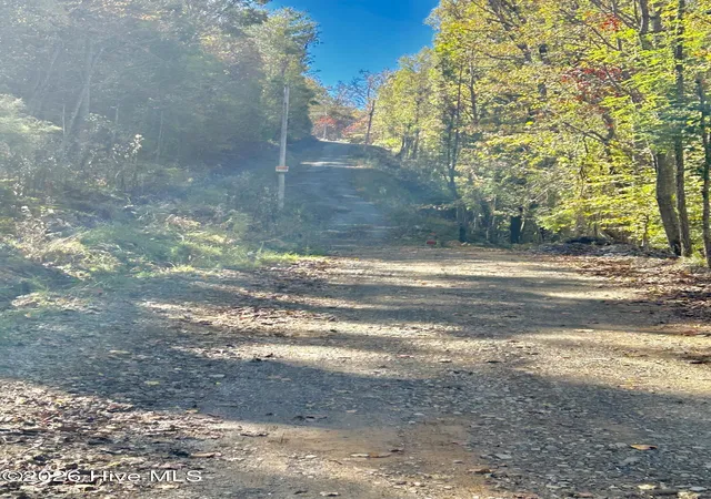 Homes for sale in Brasstown, NC | Lot 1,2 Royal Oaks Trl, Brasstown, NC 28902 | MLS# 100579246