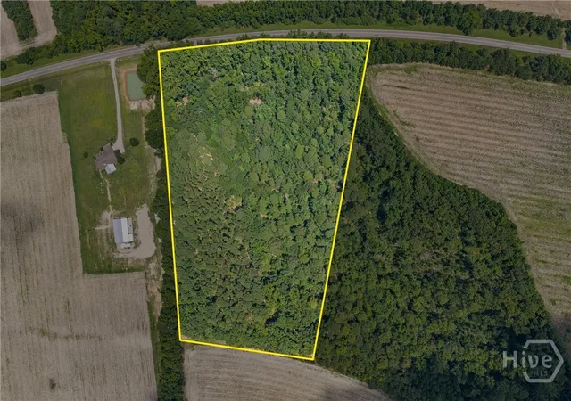 1st image of 0 N Old River Rd, Garfield, GA 30425 | MLS# SA361592