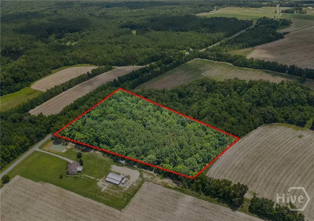 2nd image of 0 N Old River Rd, Garfield, GA 30425 | MLS# SA361592