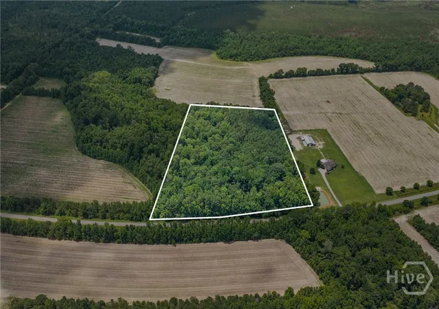 3rd image of 0 N Old River Rd, Garfield, GA 30425 | MLS# SA361592